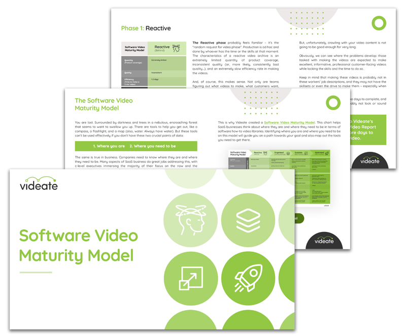 Software Video Maturity Model - eBook